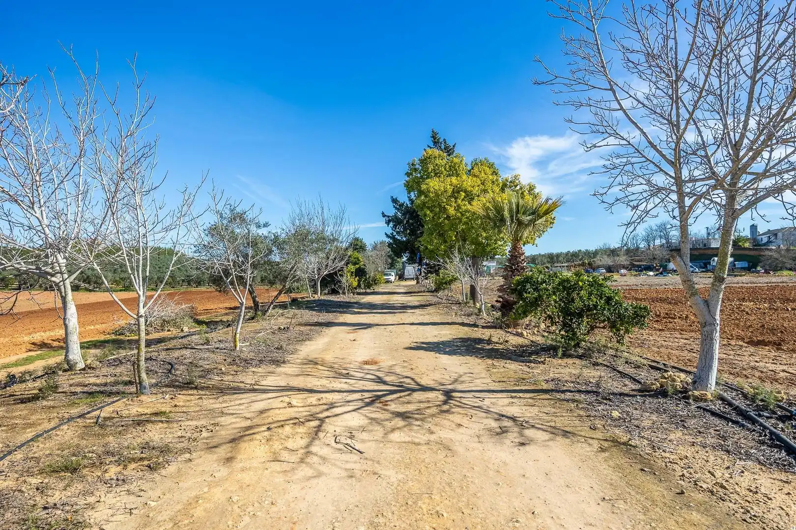 Finca rústica en venda en Alcalá de Guadaira amb Aire condicionat i Piscina