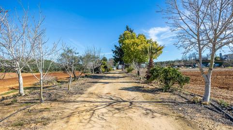 Foto 4 de Finca rústica en venda a Nueva Alcalá, Alcalá de Guadaira