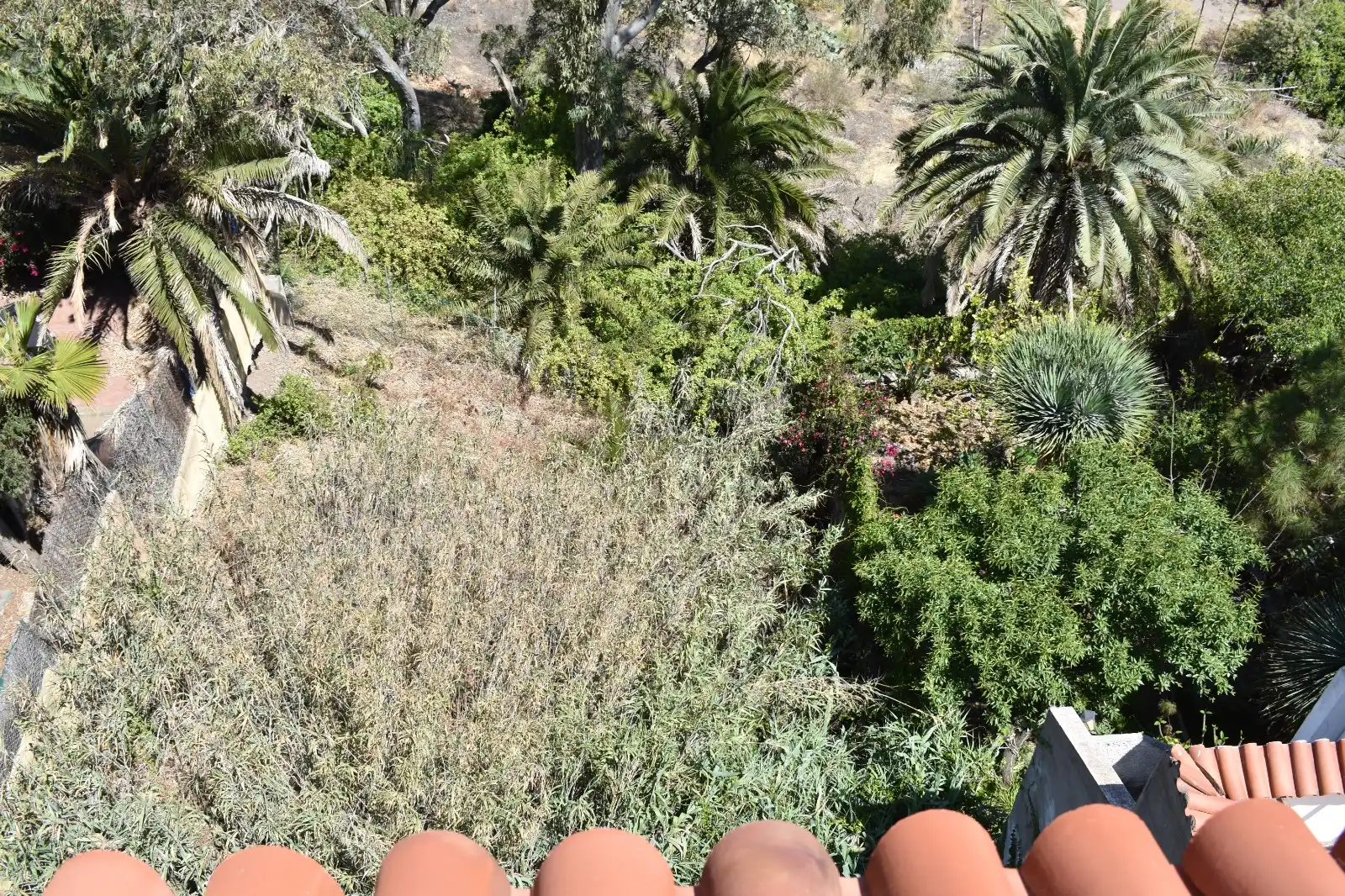 Jardí de Casa o xalet en venda en Las Palmas de Gran Canaria amb Jardí privat, Terrassa i Balcó