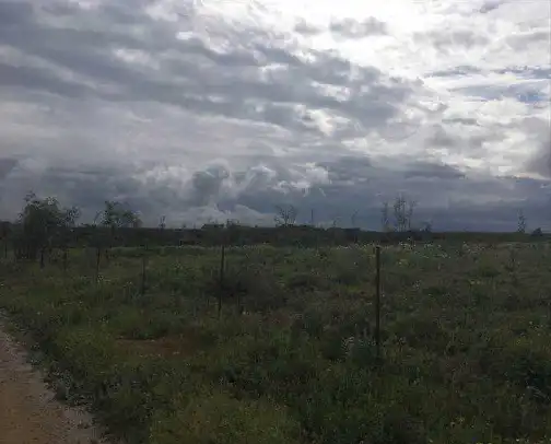 Terreni e lotti in vendita a SC AUSU-27 - FINCA PERALTA, imagen 9