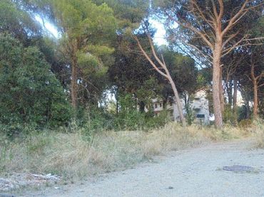 Terrain résidentiel à vendre à Carrer Pinedes