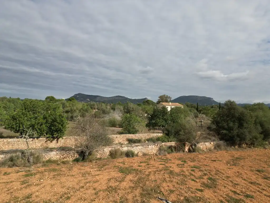 Terreno rustico in vendita a Llucmajor pueblo, imagen 14