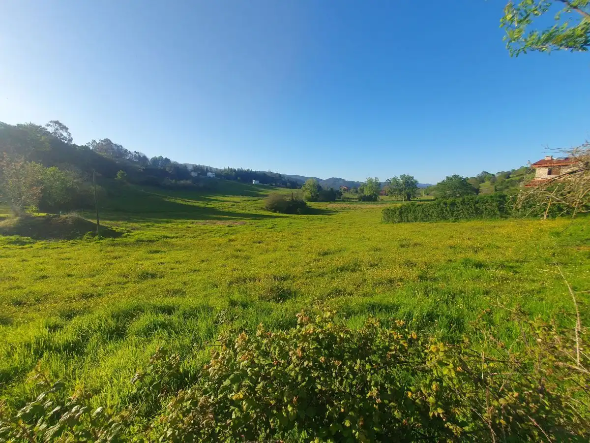 Terrenos y solares en venta en Salas, imagen 6