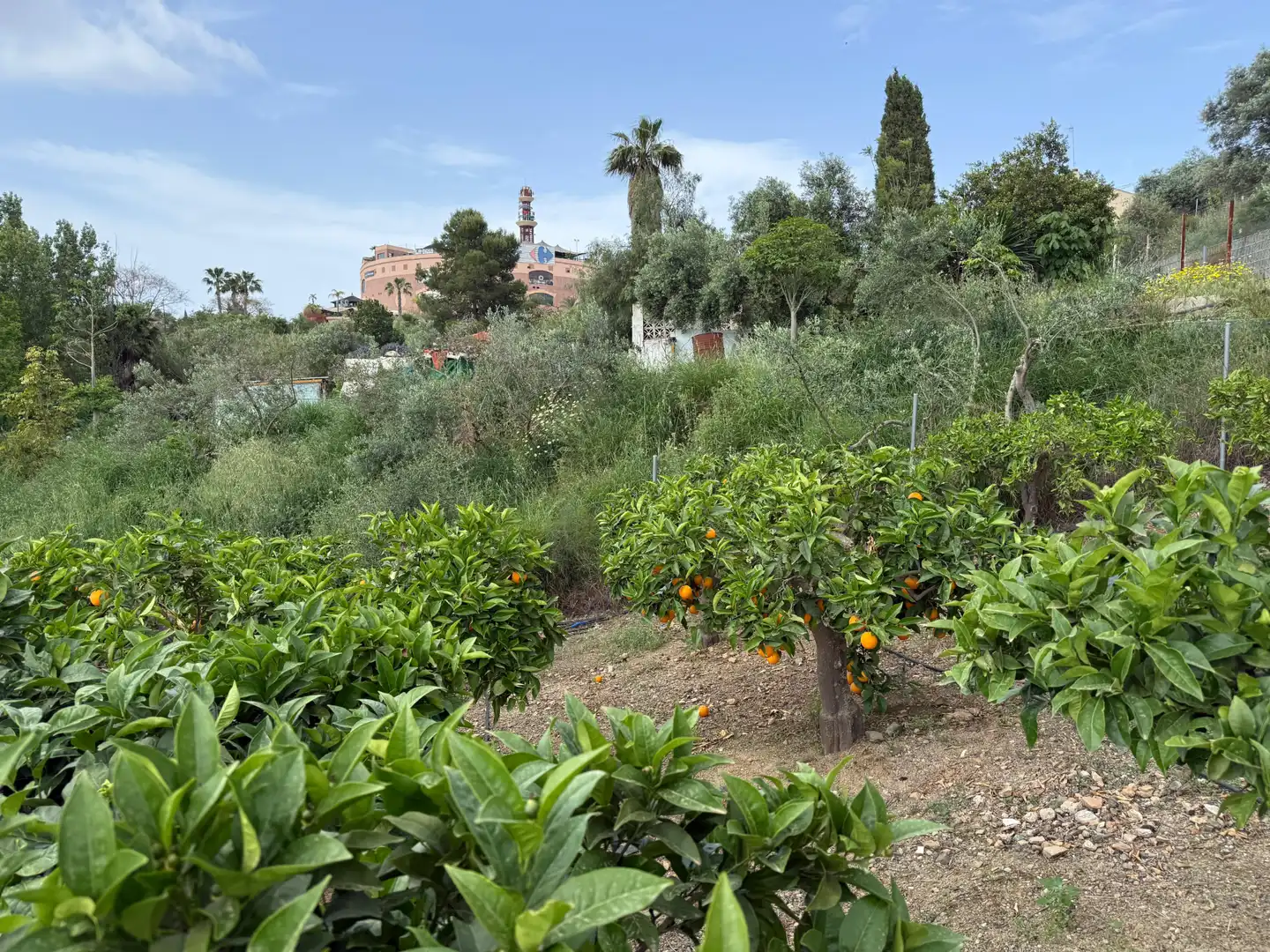 Jardín de Casa o chalet en venta en Coín con Aire acondicionado, Calefacción y Jardín privado