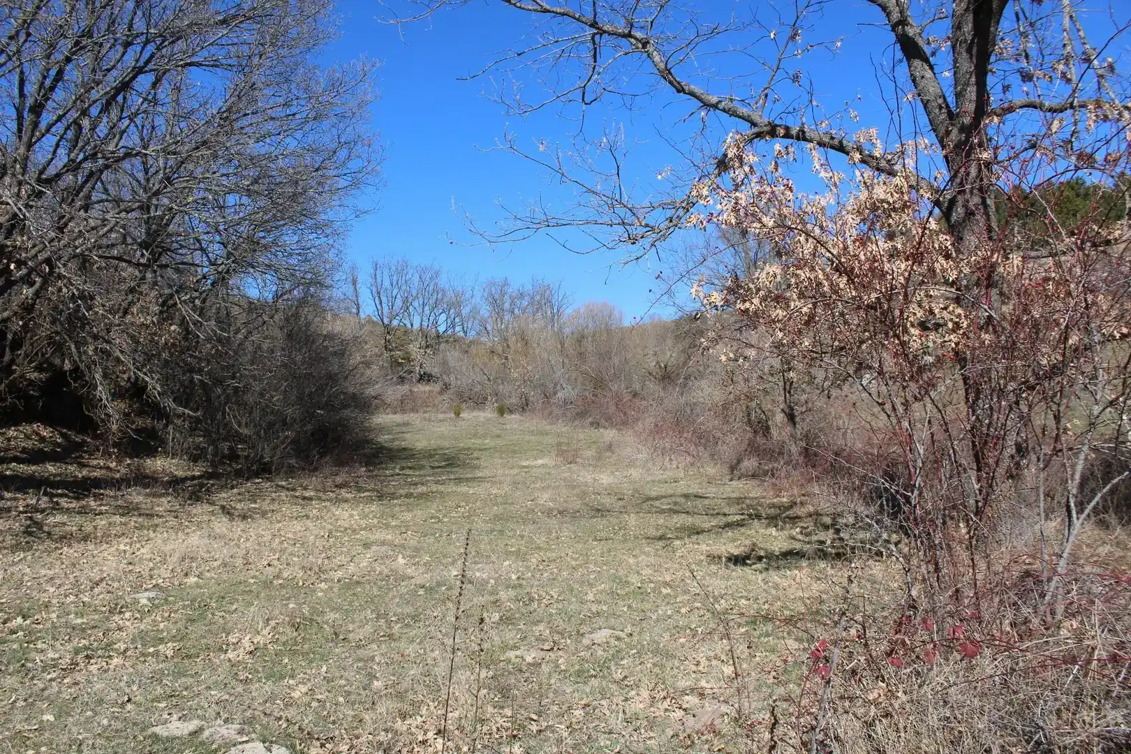 Land for sale in Peguerinos