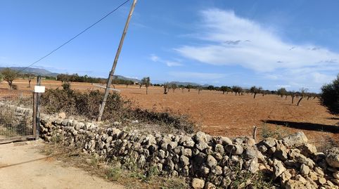 Photo 5 of Land for sale in Carrer Major, 18, Búger, Illes Balears