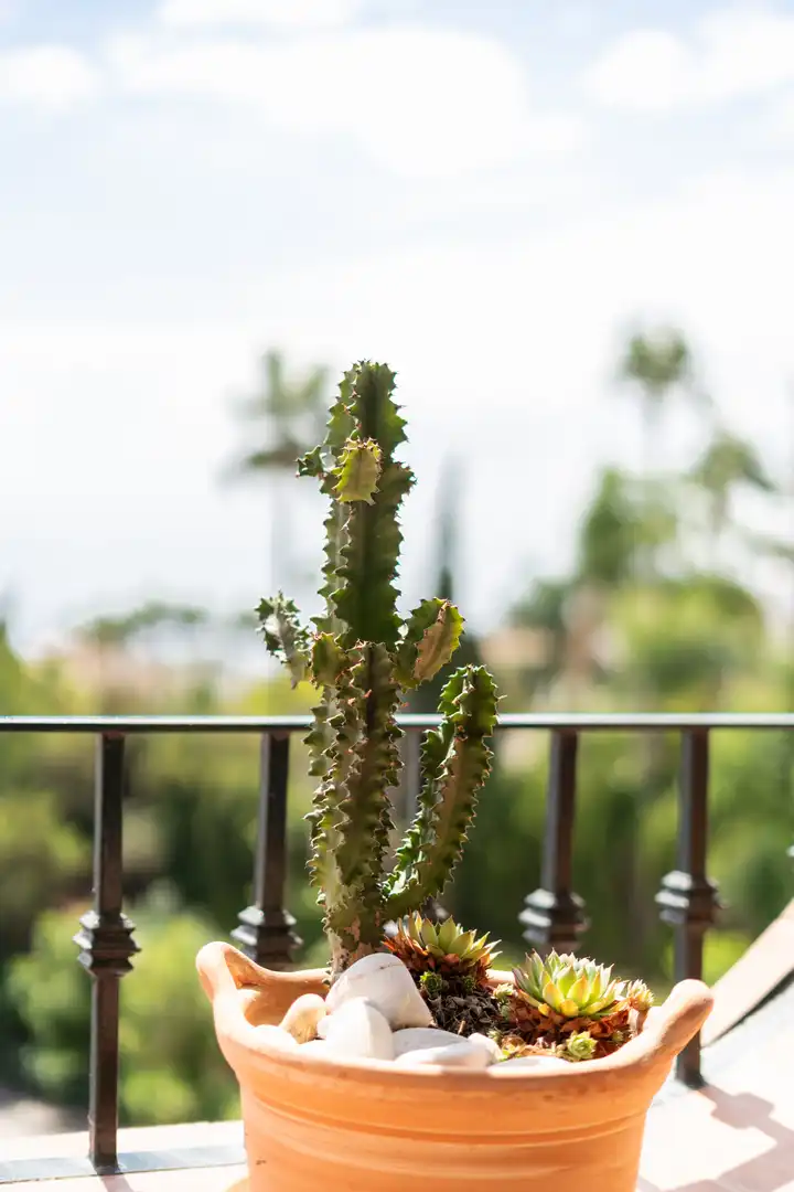 Penthouse for sale in Benamara - Atalaya, imagen 20