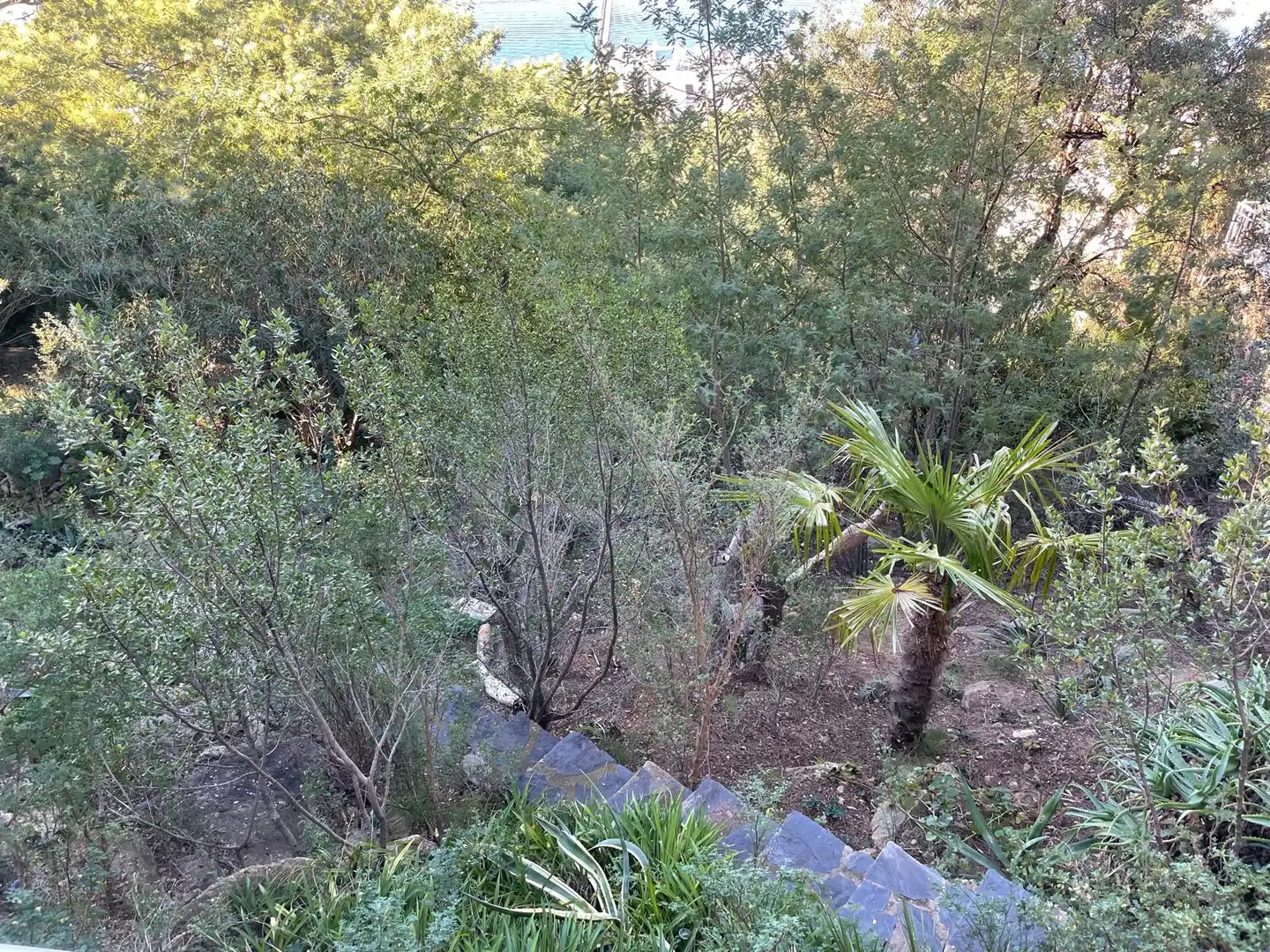 Dúplex amb jardí en venda a Almadrava - Canyelles - Puig-Rom, imagen 29