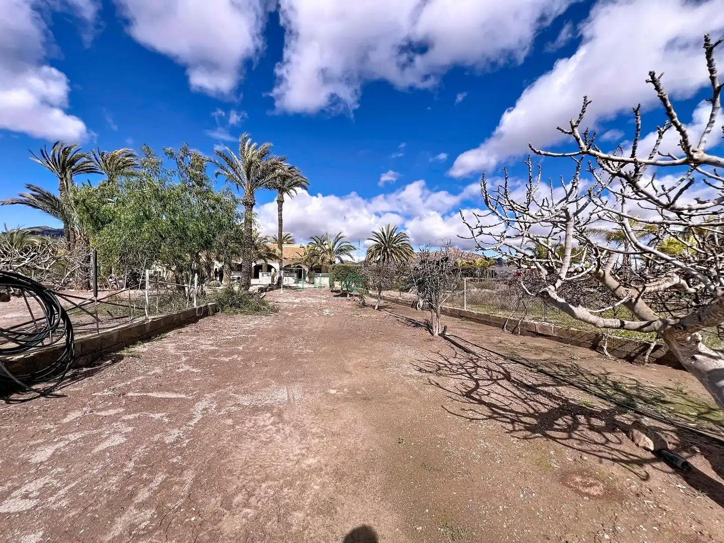 Casa con giardino in vendita a San Juan de los Terreros, imagen 13