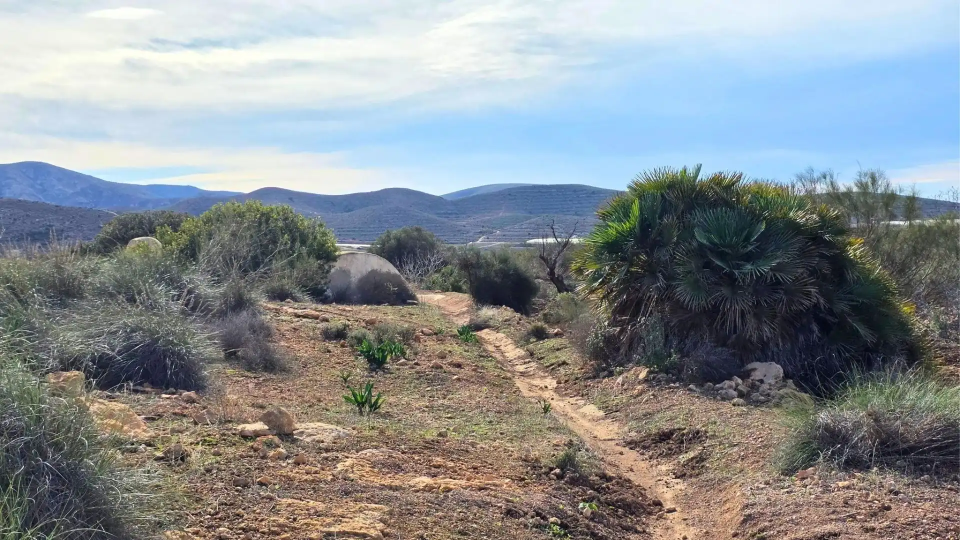 Finca rústica en venda a Calle HORNILLO (AL), Las Negras