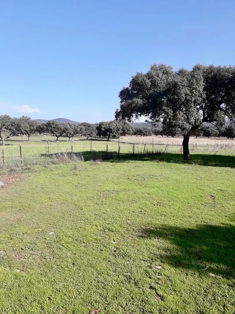 Rural land for sale in Fuente Obejuna, imagen 24