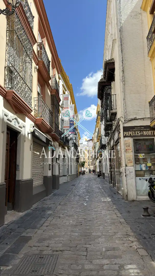 Exterior view of Apartments for sale in Sevilla  with Air Conditioner, Heating and Furnished