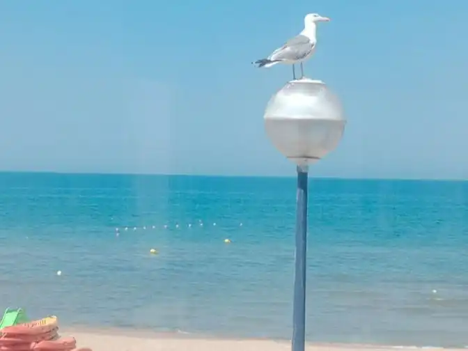 Flat for rent in Miramar, Valencia