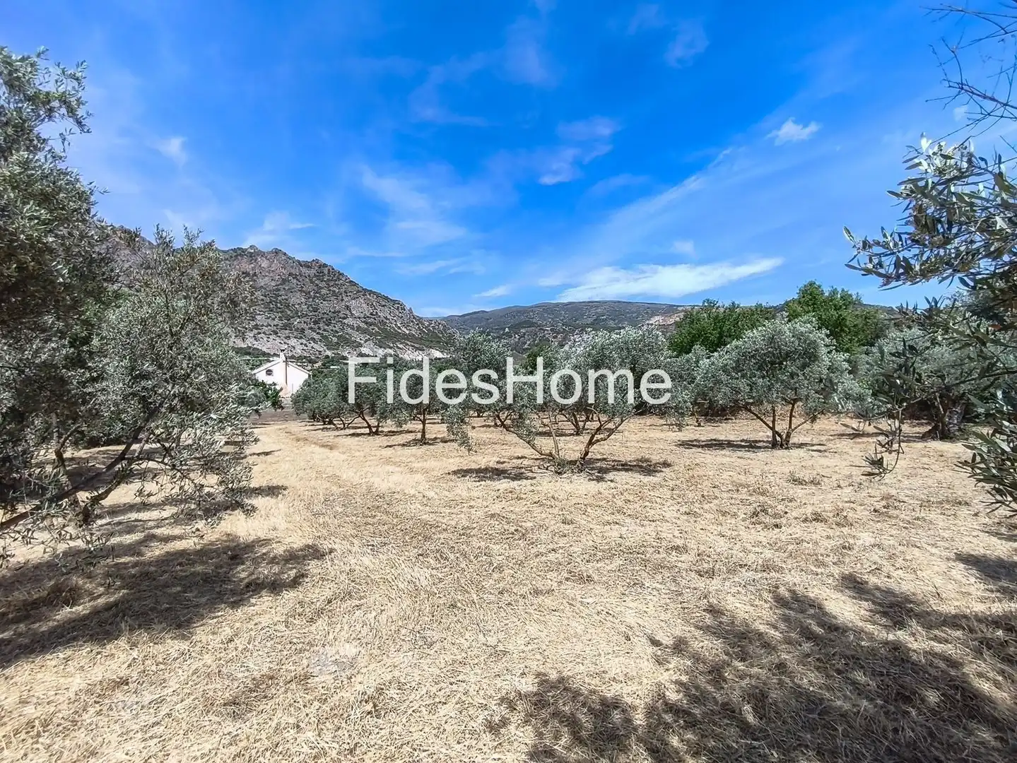 Rural land for sale in XFJ3+526 Nigüelas 0, imagen 32