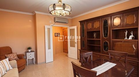 Photo 4 of Flat for sale in Pino Montano - Consolación, Sevilla