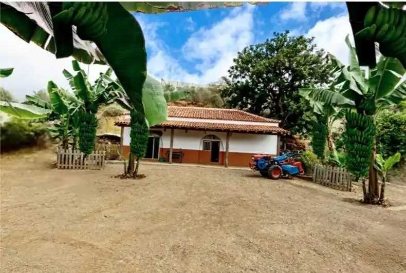 Exterior view of Houses for sale in Gáldar  with Private garden