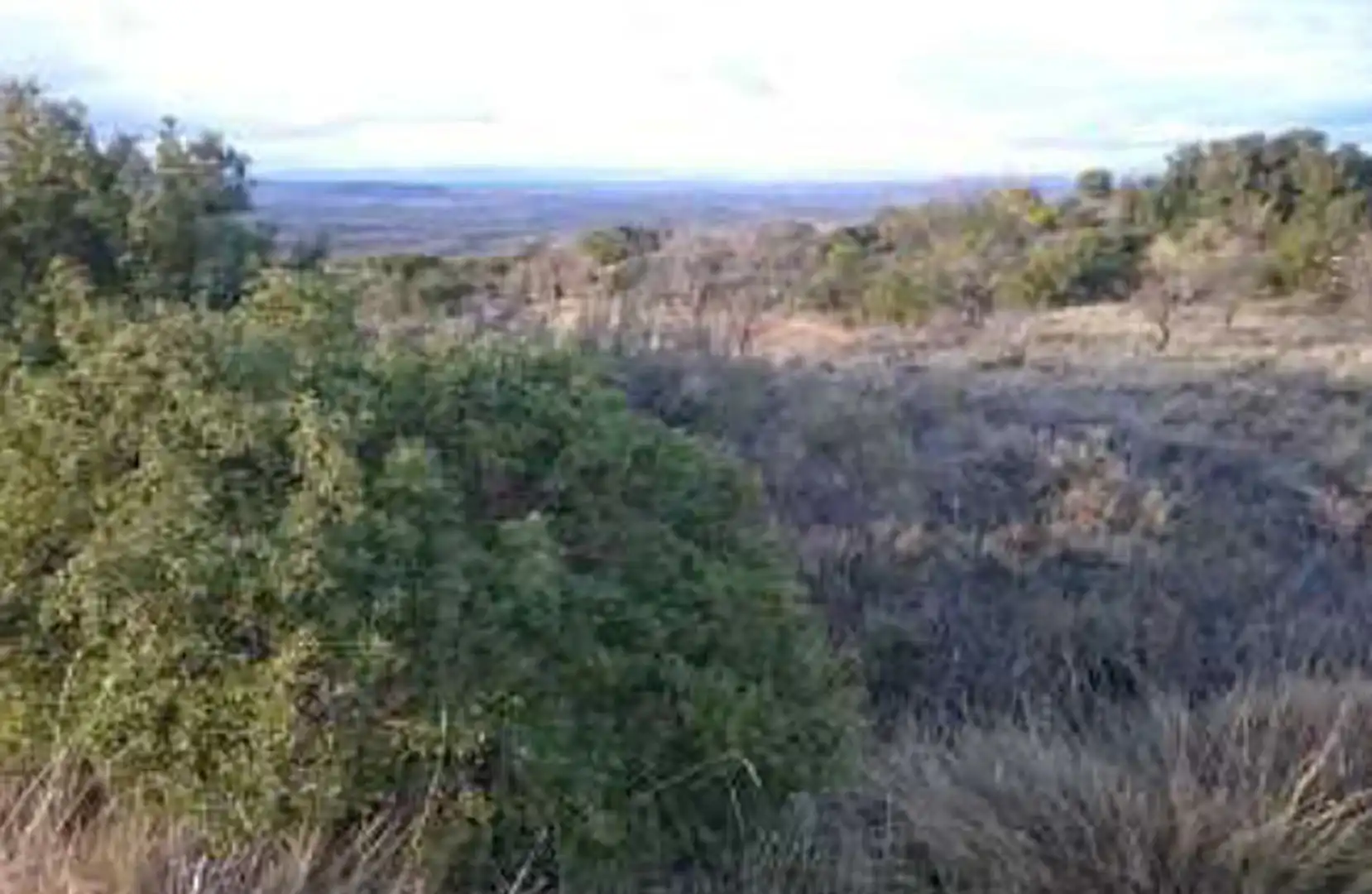 Land for sale in Centro