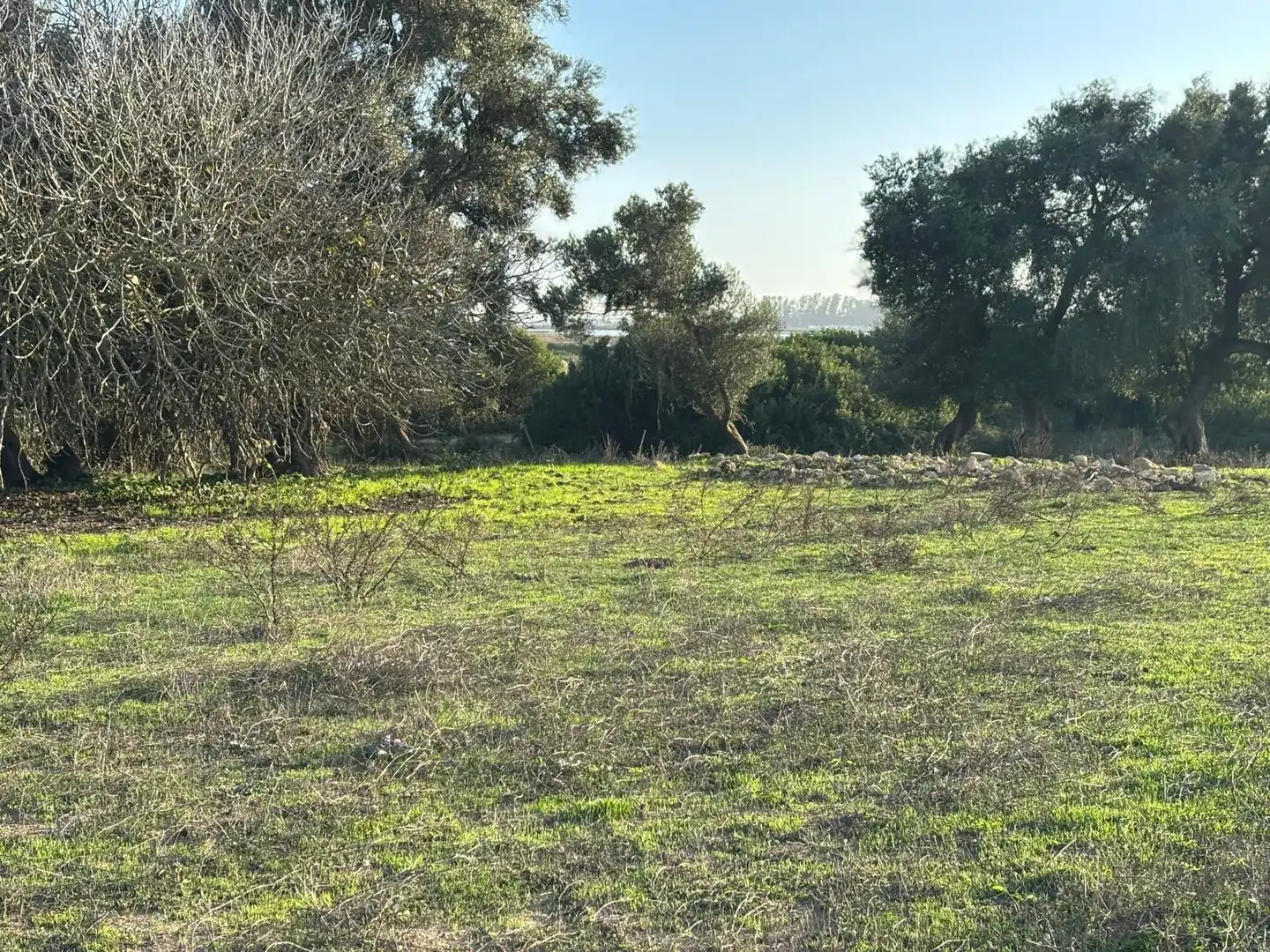 Terreni e lotti in vendita a Vejer, imagen 47