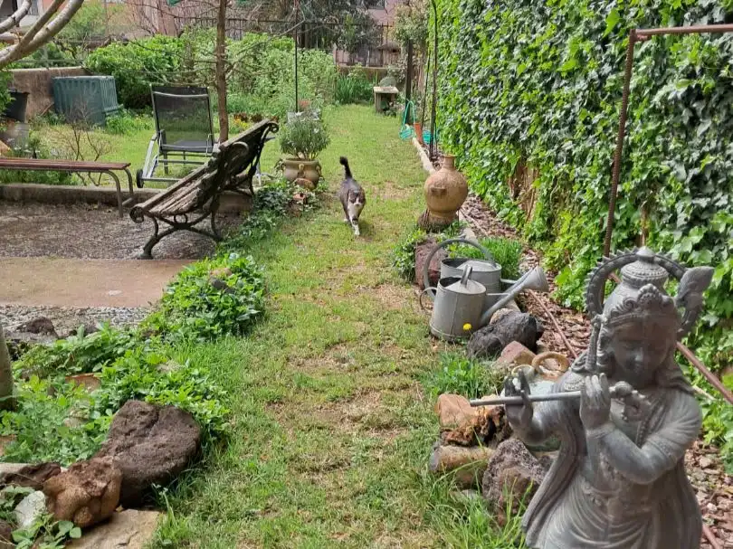 Maison rustique avec jardin à vendre à Macarnau 25, imagen 18