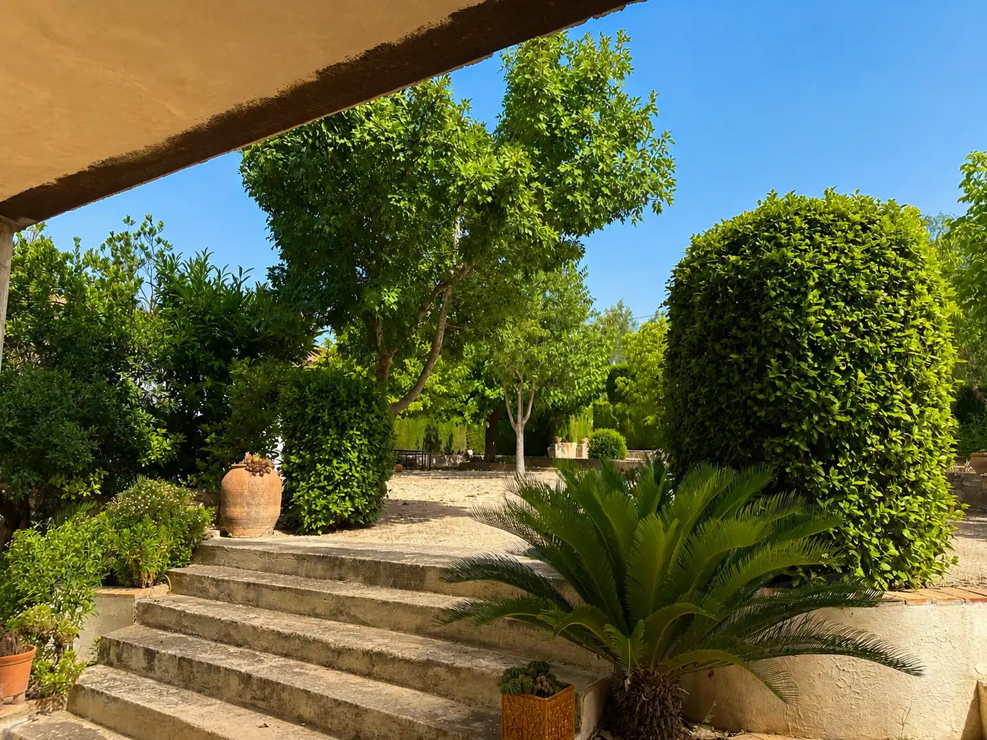 Maison avec jardin à vendre à El Pilar, imagen 8