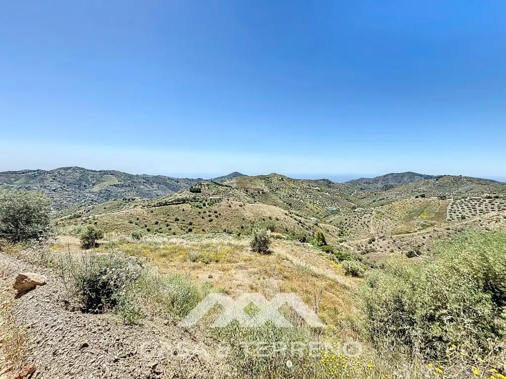 Land for sale in Canillas de Albaida