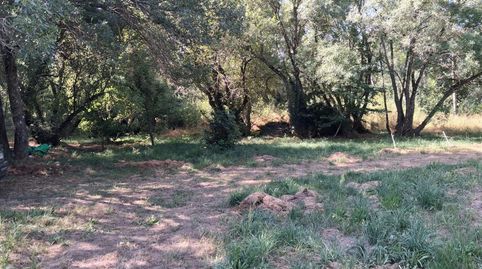 Photo 4 of Country homes for sale in Bustarviejo, Madrid