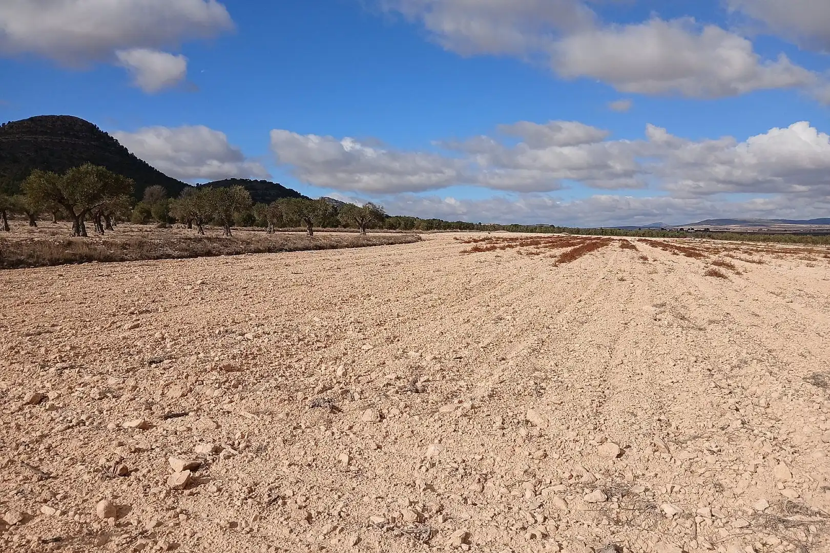 Residencial en venda en Yecla
