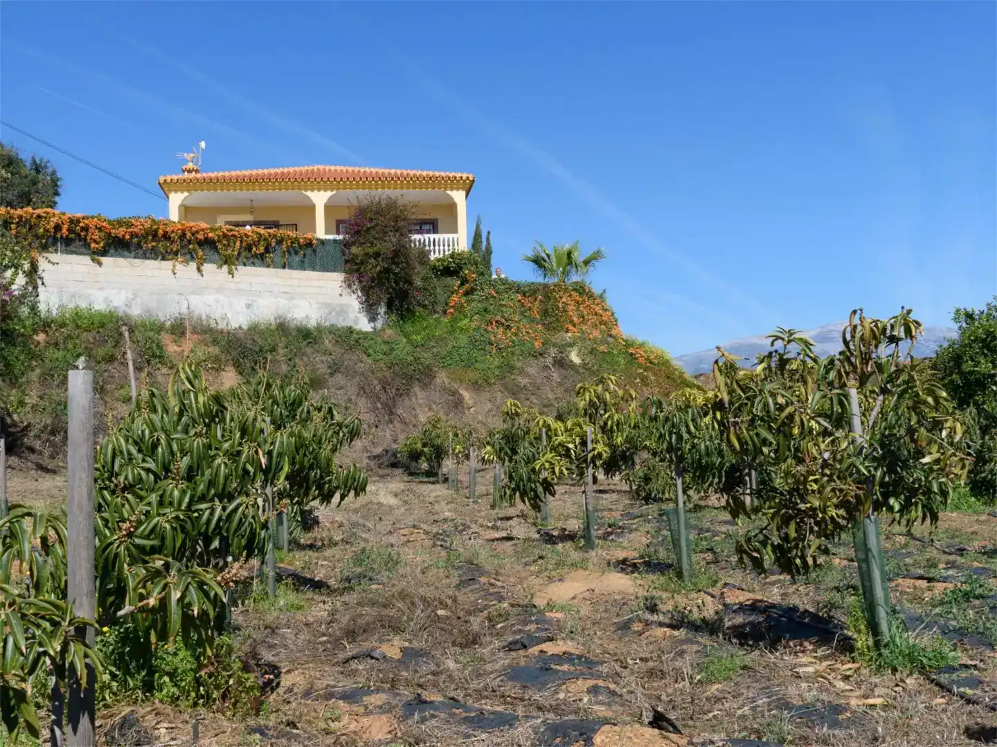 Vista exterior de Piso en venta en Vélez-Málaga con Piscina y Balcón