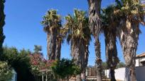 Jardí de Casa o xalet en venda en Chiclana de la Frontera amb Aire condicionat, Calefacció i Jardí privat