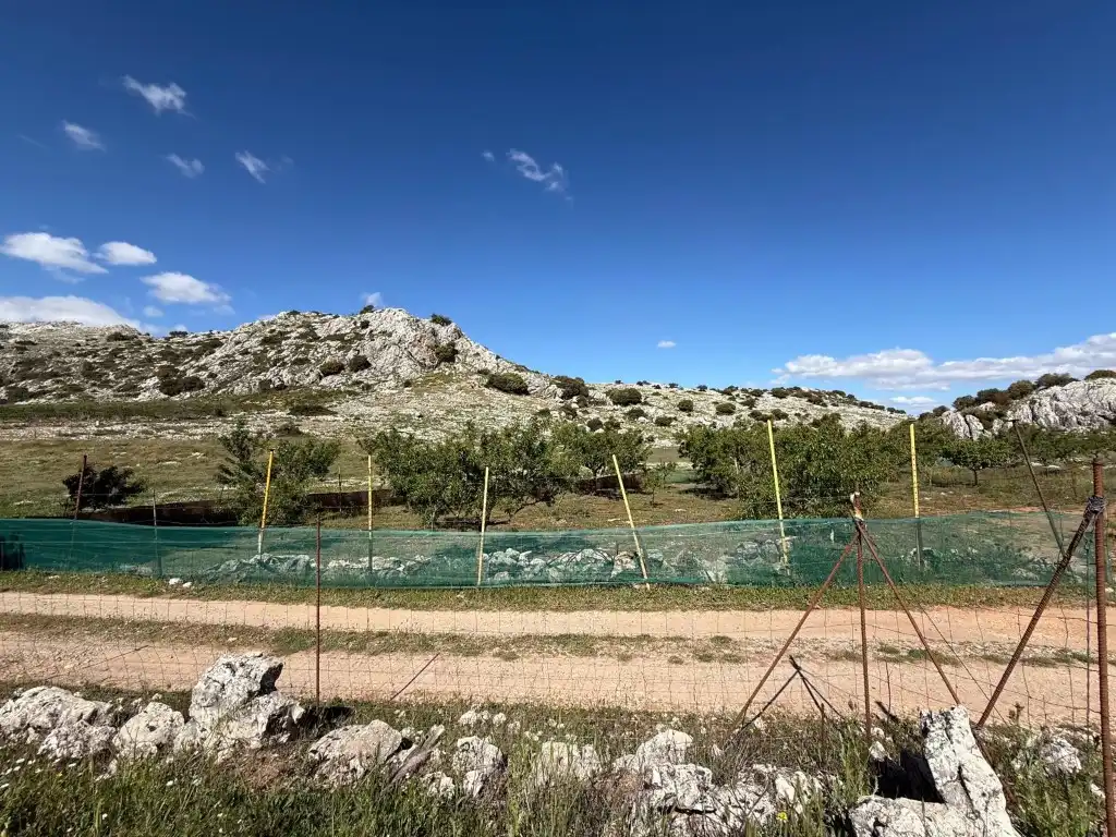 House for sale in Poligono 9 Paraje 81 Charquillo, imagen 42