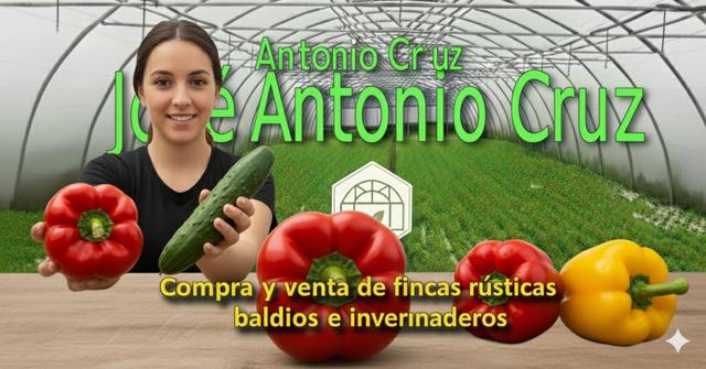 Terreno en Venta en AUTOVIA A7, SALID en Retamar