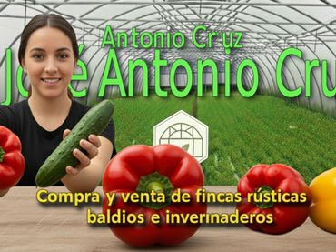 Rural land for sale in AUTOVIA A7 SALIDA 758