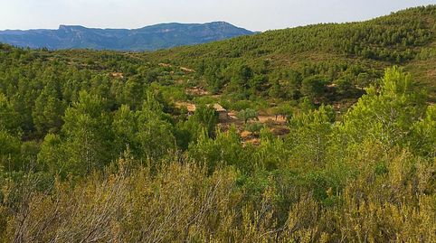 Foto 4 de Finca rústica en venta en Benifallet, Tarragona