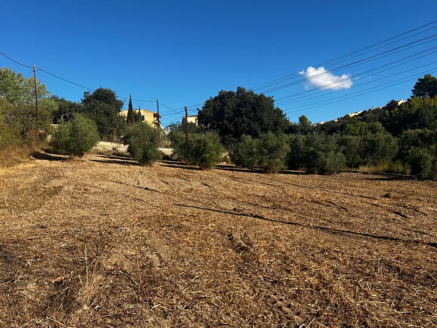 Maison rustique à vendre à Campanet, imagen 2