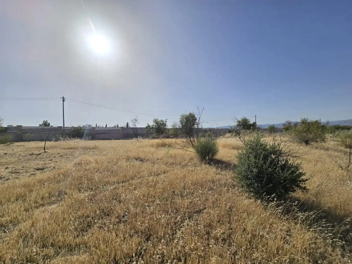 Terreny rústic en venda a Moraleda de Zafayona, imagen 2