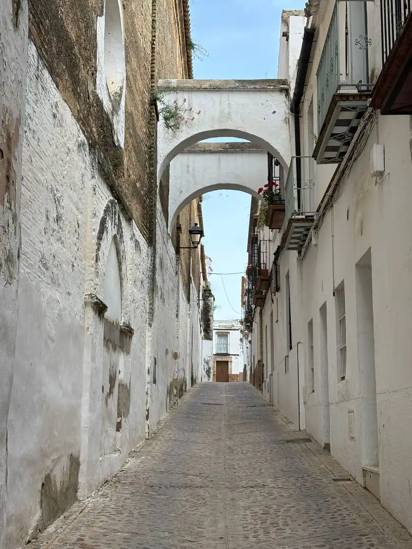 Vista exterior de Piso en venta en Carmona con Aire acondicionado, Calefacción y Amueblado