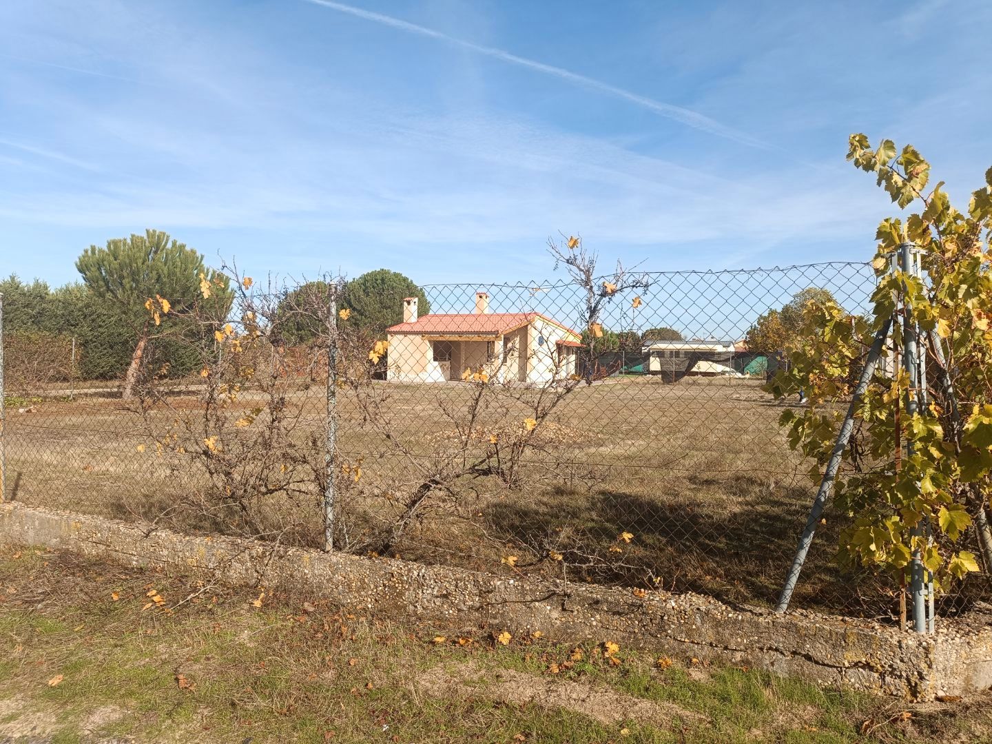 Grundstücke zum verkauf in Villanueva de Duero