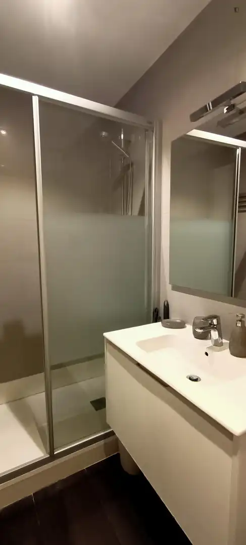 Apartamento con ascensor en alquiler en Barrio de Salamanca, imagen 7