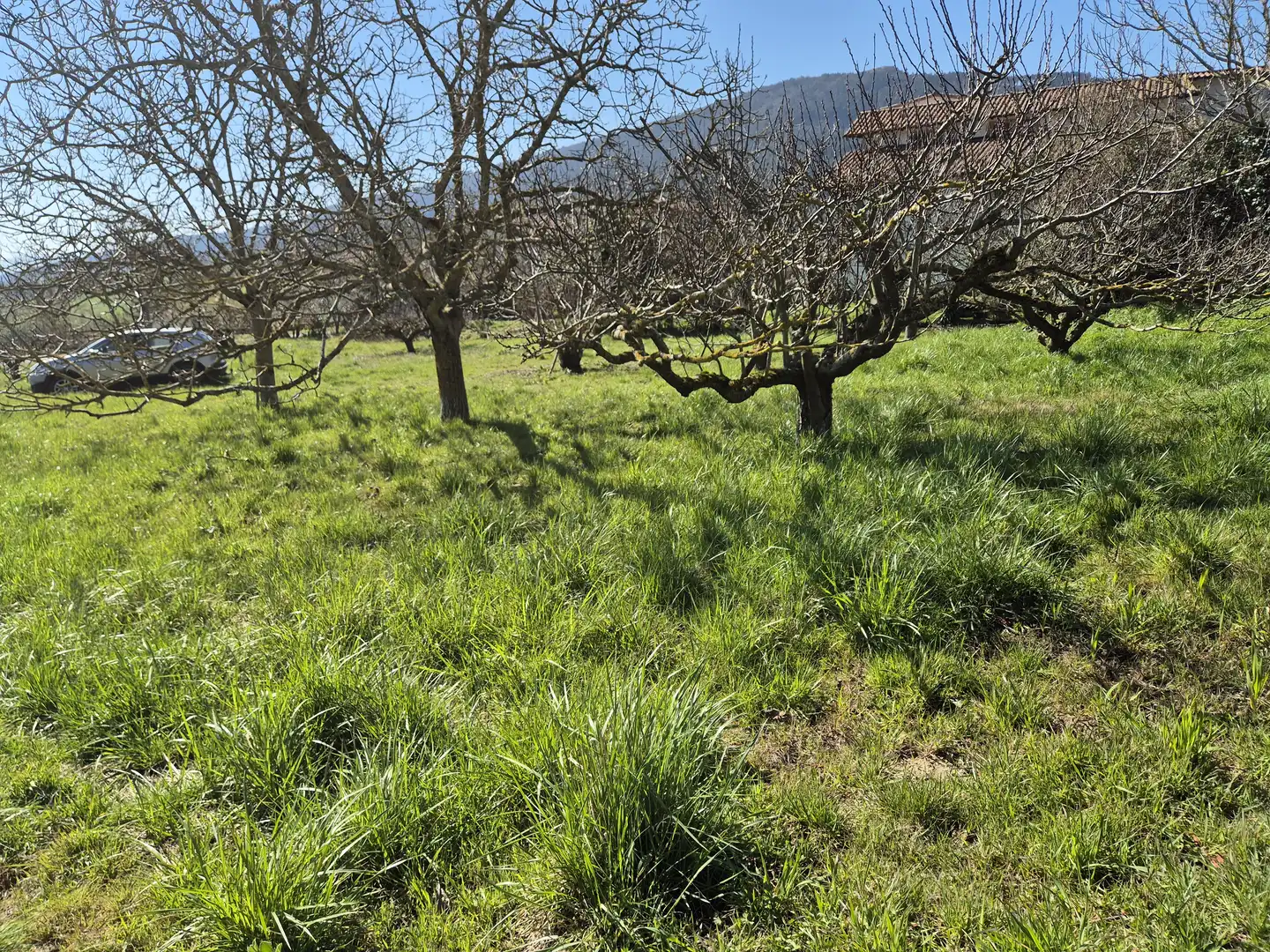 Residential land for sale in Calle San Juan 34, imagen 6