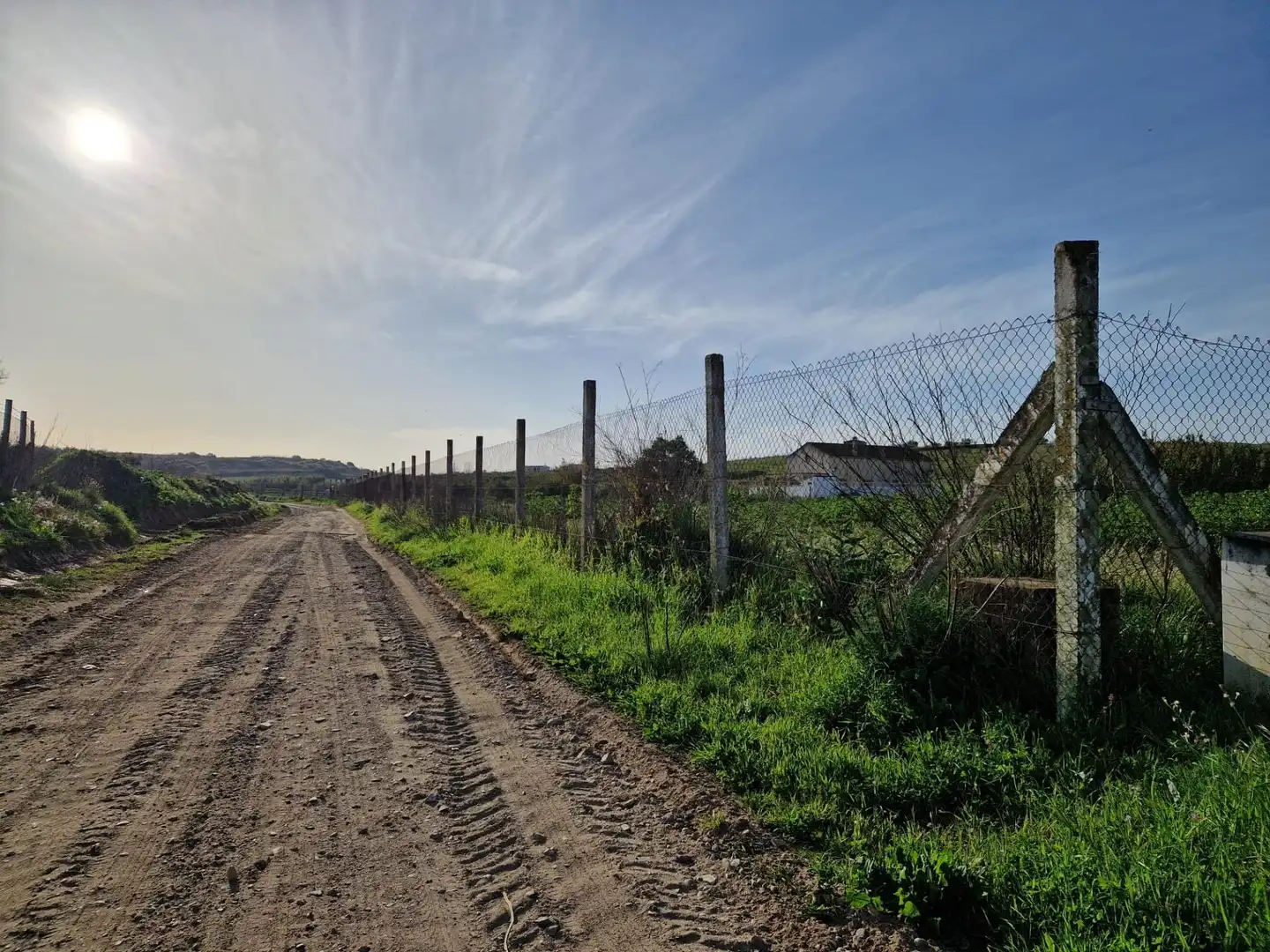 Terreno rustico in vendita a Moguer, imagen 3