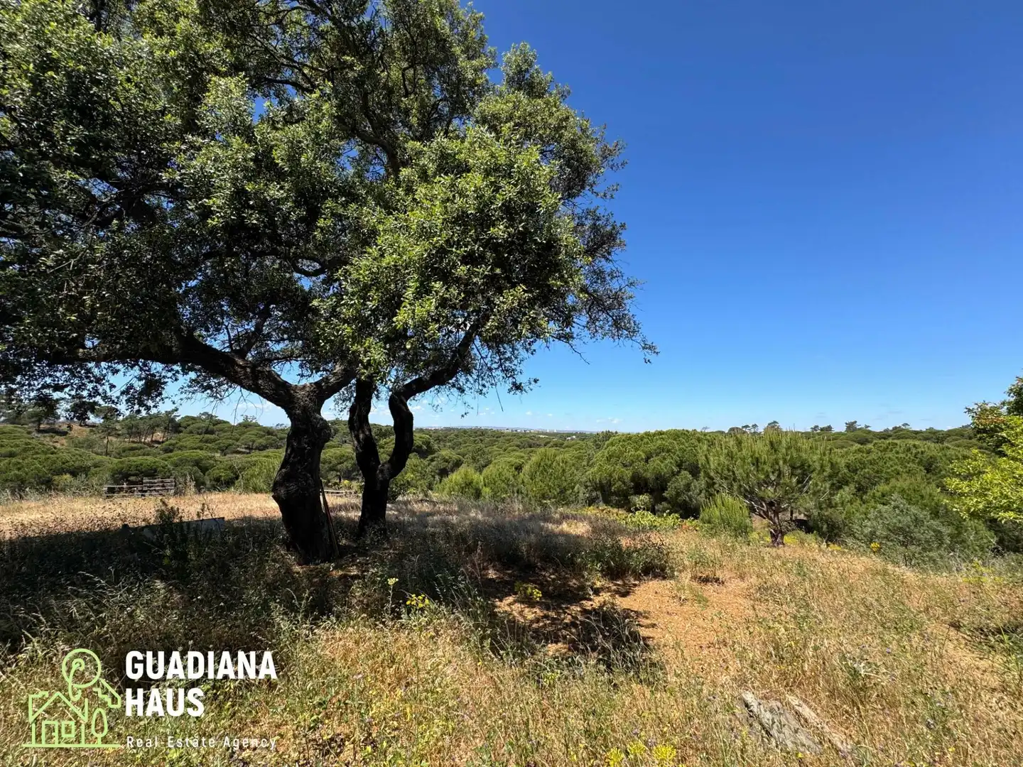 Finca rústica en venda en Ayamonte