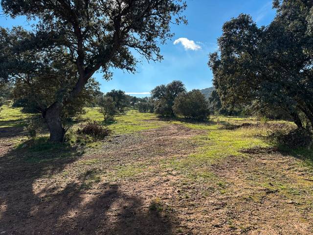 Terreno en Venta en Plaza Calderón de la Barca, 51 en Zalamea de la Serena