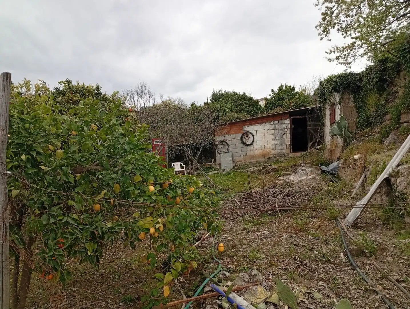 Terreni e lotti in vendita a Villanueva de la Vera, imagen 37