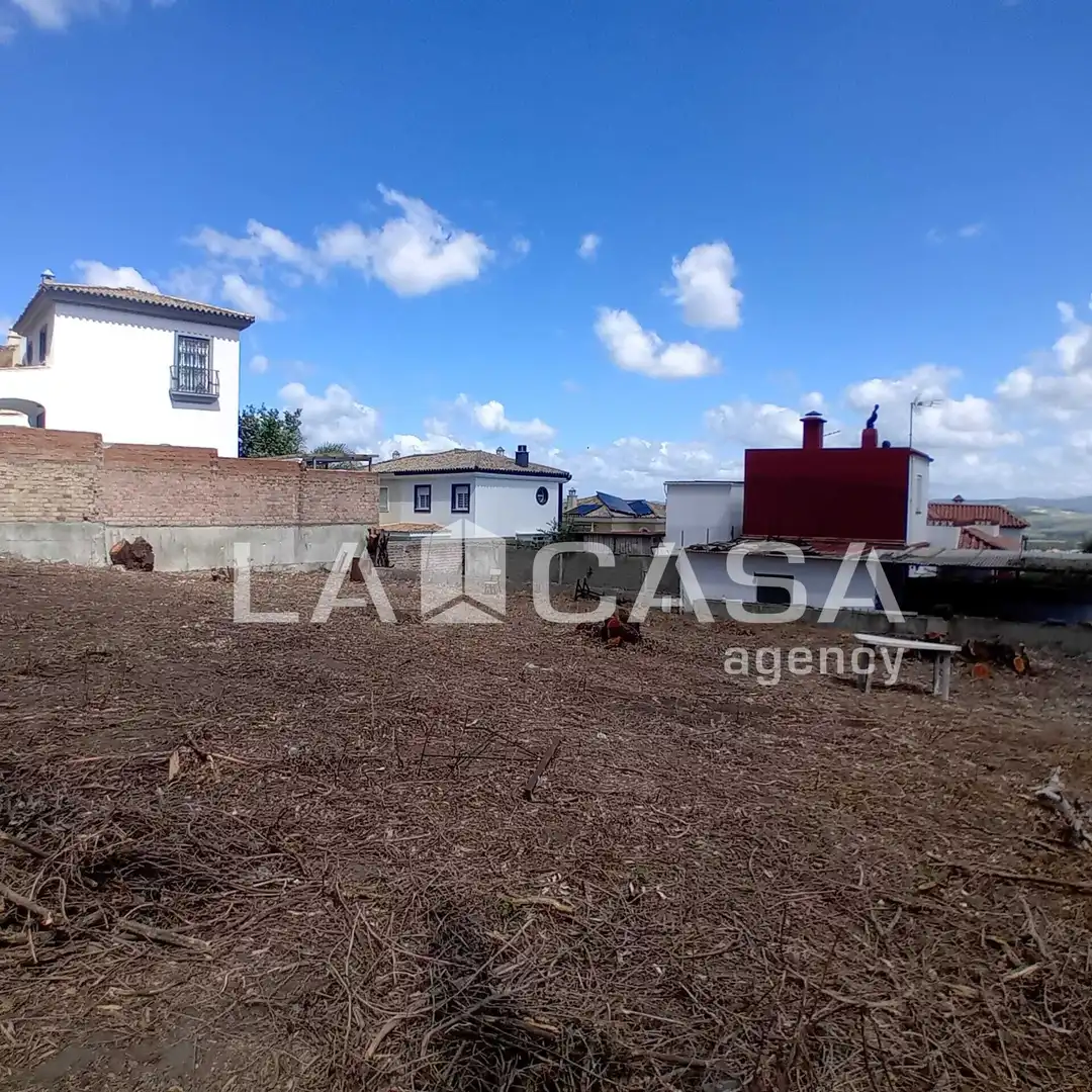 Terrenos y solares en venta en Calle la Begonia, imagen 15