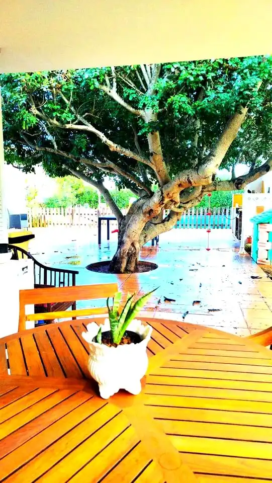 Casa con piscina en venta en Cala Blanca, imagen 37