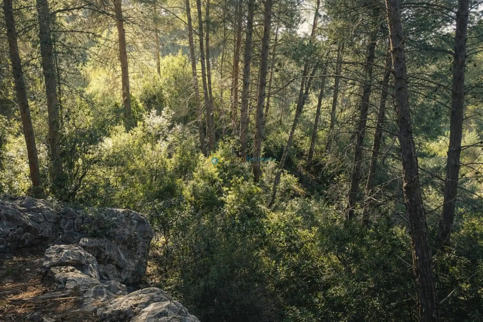 Casa rústica con jardín en venta en Muro de Alcoy, imagen 21
