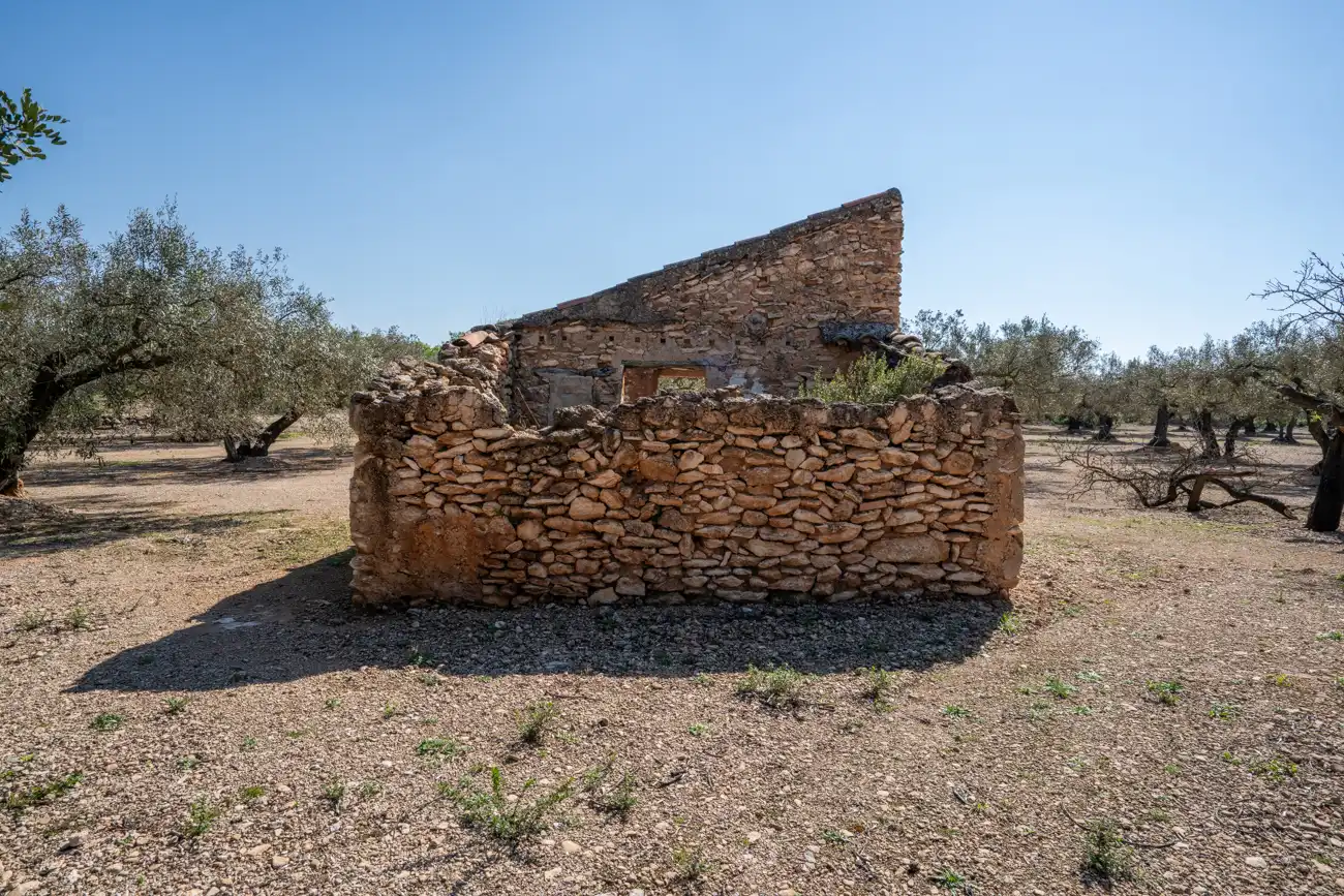 Terreno rustico in vendita a Camí Colomar 14, imagen 4