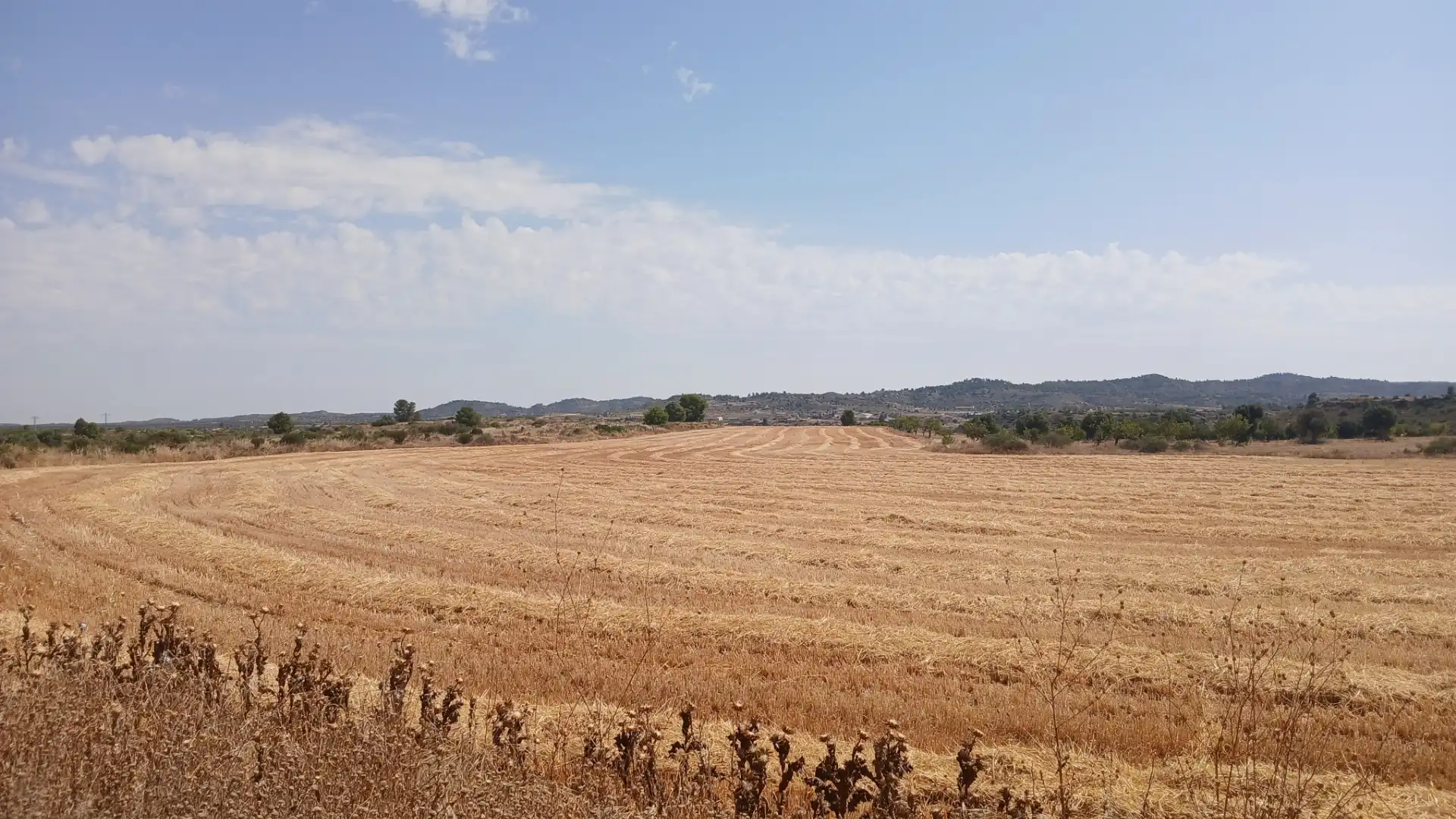 Terreno en venta en Castelserás, Teruel