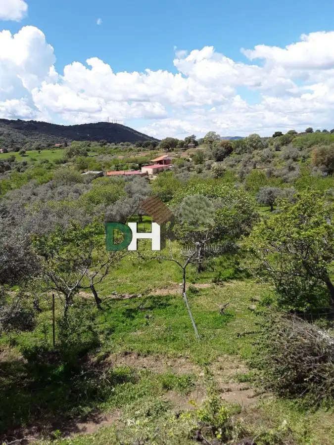 Finca rústica en venta en Los Pinos - El Pilar