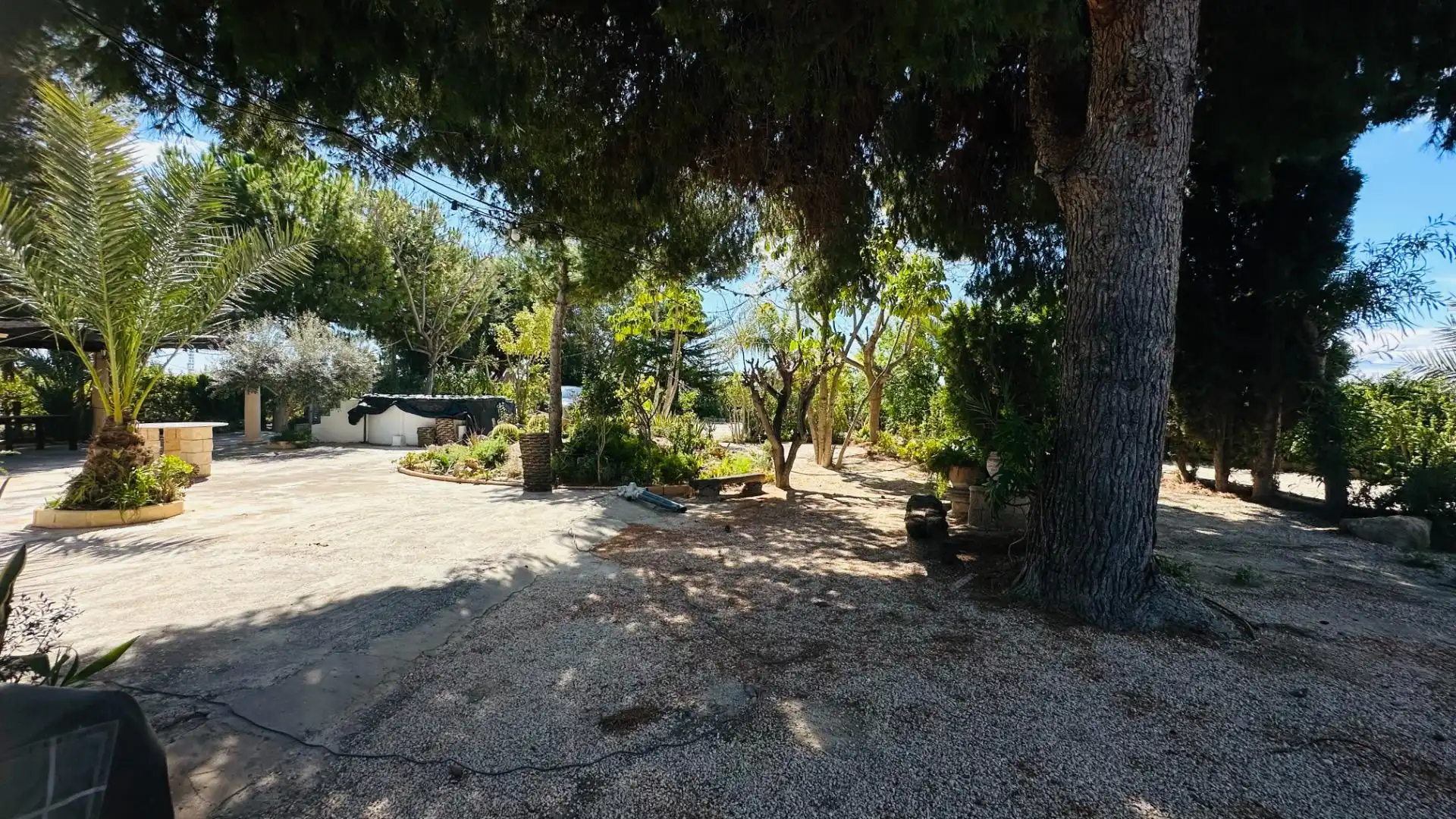 Jardí de Casa o xalet en venda en Elche / Elx amb Jardí privat, Traster i Piscina